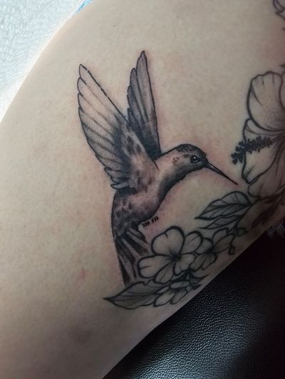 Softly shaded hummingbird in flight beside hibiscus and plumeria flowers still in outline only